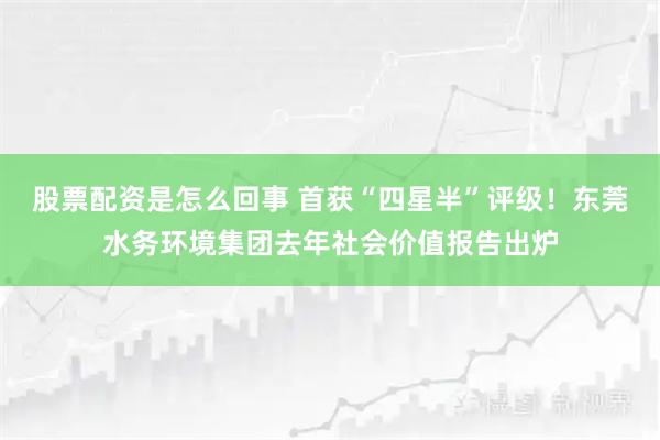 股票配资是怎么回事 首获“四星半”评级！东莞水务环境集团去年社会价值报告出炉