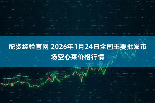 配资经验官网 2026年1月24日全国主要批发市场空心菜价格行情