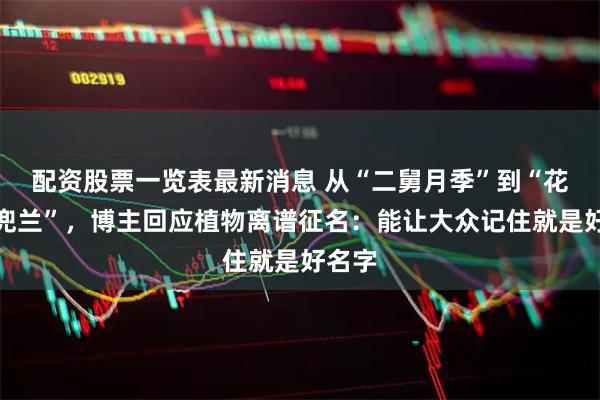 配资股票一览表最新消息 从“二舅月季”到“花生米兜兰”，博主回应植物离谱征名：能让大众记住就是好名字